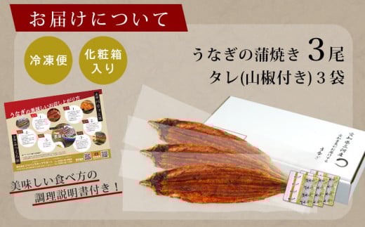 三河産うなぎ特大サイズ蒲焼×3尾(530g～550g) 鰻 ウナギ 国産うなぎ 本格 鰻 蒲焼き 愛知県 西尾市 愛知養魚  海鮮 惣菜 丑の日 土用の丑の日 ・A087-25