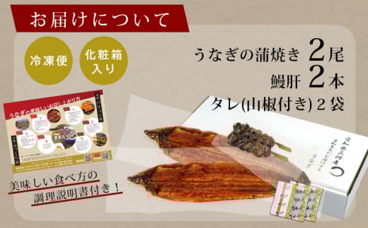 三河産うなぎ「蒲焼冷凍×2尾」(合計300g)＋鰻肝2本付 ≪冷凍≫ 国産うなぎ 2尾 本格 鰻 蒲焼き 愛知県 西尾市 愛知養魚 惣菜 海鮮 ウナギ 肝串 丑の日 土用の丑の日 ・A114-18