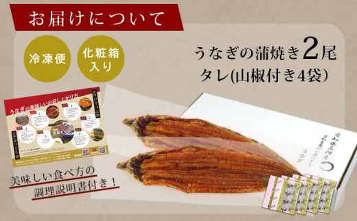 国産 三河産 うなぎ 超おばけサイズ 蒲焼き 2尾 (合計500g以上) 国産うなぎ 本格 鰻 ウナギ 蒲焼 愛知県 西尾市 愛知養魚 たれ付き 惣菜 海鮮 丑の日 土用の丑の日