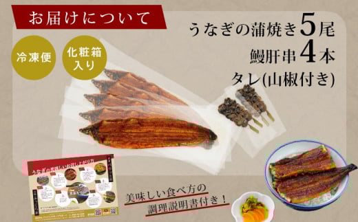 三河産うなぎ「蒲焼き冷凍×5尾（650ｸﾞﾗﾑ以上：100ｸﾞﾗﾑ～160ｸﾞﾗﾑ内）＋鰻肝串2本付き×2袋」うなぎ の蒲焼き 鰻 ウナギ 国産うなぎ 愛知県 西尾市 土用の丑の日 ・A184-30