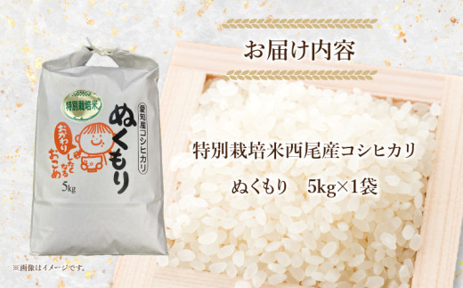 【令和7年産】特別栽培米西尾産コシヒカリ《ぬくもり》【5kg/袋×1袋】・D024-18