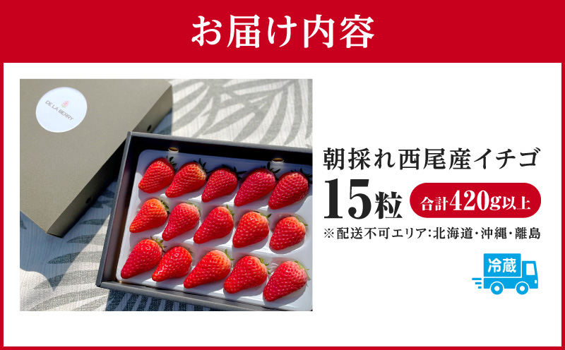 【12月限定価格】章姫(あきひめ)イチゴ15粒×1ケース・D033_c2