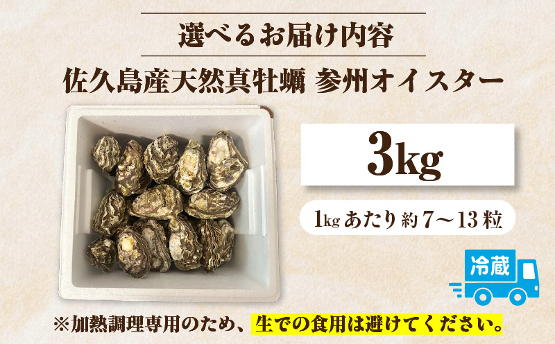 佐久島産天然真牡蠣　参州オイスター　3㎏・E030