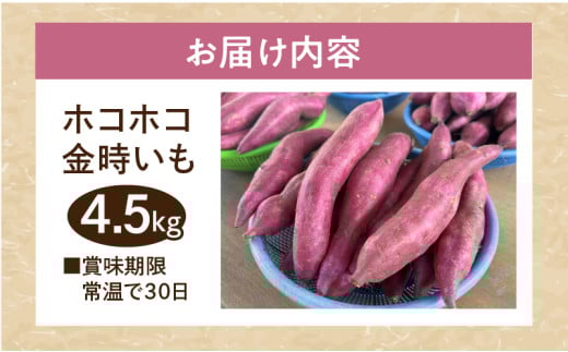 長期熟成　ホコホコ金時いも 4.5kg・H064