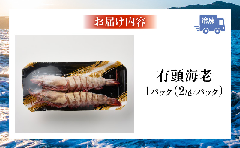 【高級】King Sea Tiger 王の海老2尾・K305