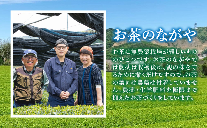 【吉良茶】水出し専用ティーバッグ創健番茶　10g×15p　5パック計75個・O058