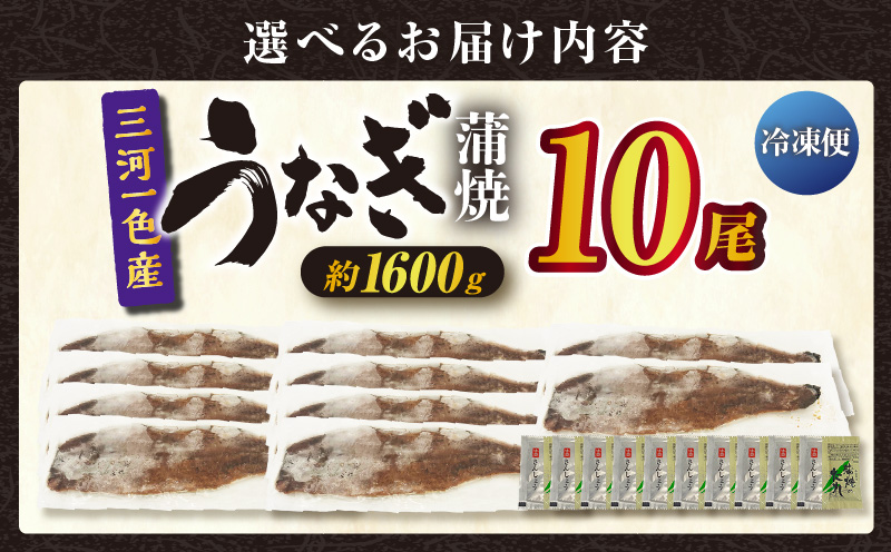三河一色産うなぎ蒲焼 10尾（約1600g）・O072