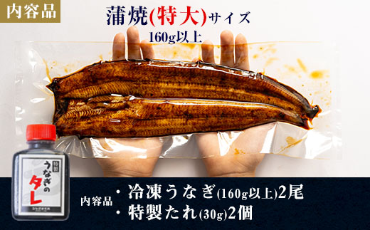 【12月・1月限定　特別提供】三河一色産うなぎ蒲焼特大2尾(計320g以上)・R007_c1