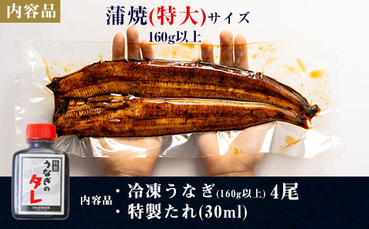 三河一色産うなぎ蒲焼特大4尾(計640g以上)・R044