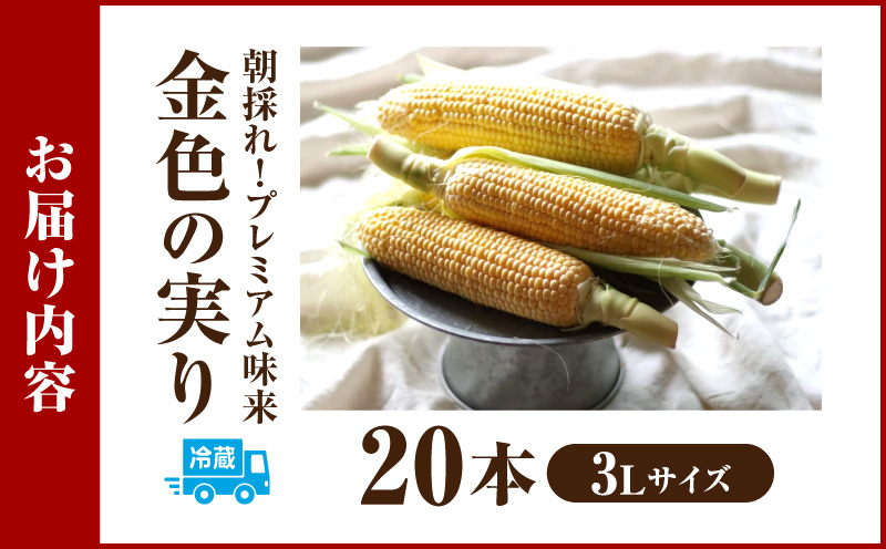 【12月限定価格】朝採れ!プレミアム味来～金色の実り～20本・S066_c2
