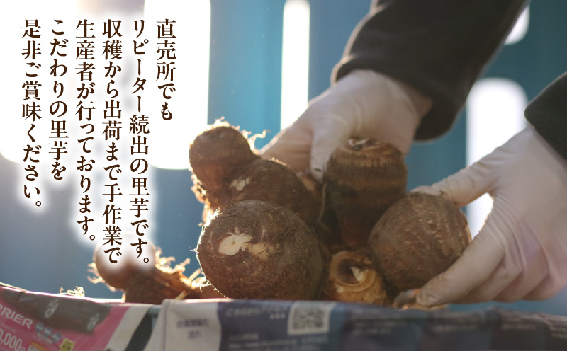 絶品里芋　～天晴れ～　4kg・S067
