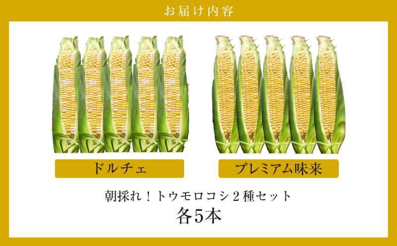 朝採れ！とうもろこし2種セット「プレミアム味来＆ドルチェ」各5本・S101