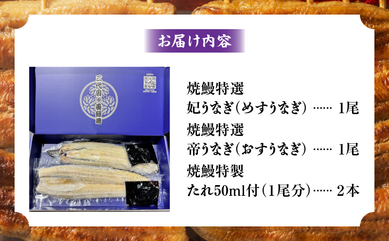 焼鰻めおと鰻セット：焼鰻特選メス妃うなぎ特大１尾と焼鰻特選オス帝うなぎ大1尾　計310g・Y100