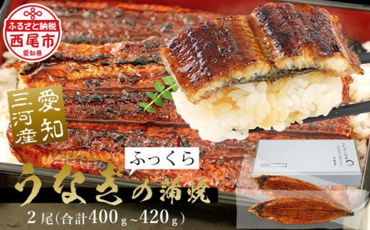 三河産超特大 うなぎ蒲焼 2尾(合計約400g～420g) 国産 西尾市 国産うなぎ 蒲焼き 鰻 ウナギ たれ付き 山椒付き 惣菜 愛知養魚 海鮮 丑の日 土用の丑の日 A090-19