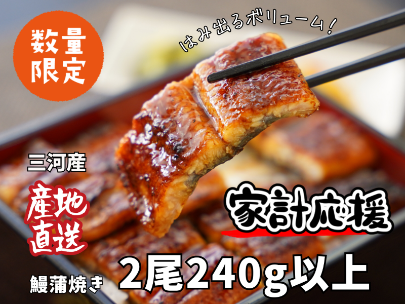 生産者｢愛知養魚｣がお届けする三河産うなぎ「蒲焼冷凍2尾」(合計240g～250g) ≪冷凍≫ 鰻 ウナギ 国産うなぎ 蒲焼き 愛知県 西尾市 たれ付き 海鮮 惣菜生産者｢愛知養魚｣がお届け 丑の日 土用の丑の日 ・A092-12