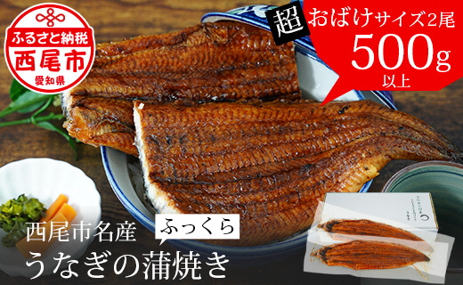 国産 三河産 うなぎ 超おばけサイズ 蒲焼き 2尾 (合計500g以上) 国産うなぎ 本格 鰻 ウナギ 蒲焼 愛知県 西尾市 愛知養魚 たれ付き 惣菜 海鮮 丑の日 土用の丑の日