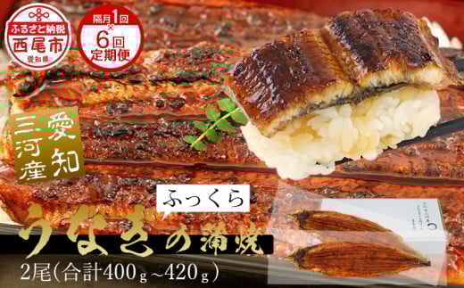 【定期便】三河産うなぎ「超特大蒲焼き2尾(合計400～420g)」×6回(隔月1回　1年間)・A133-108  うなぎ 国産 本格 鰻 ウナギ 蒲焼 愛知県 西尾市 愛知養魚