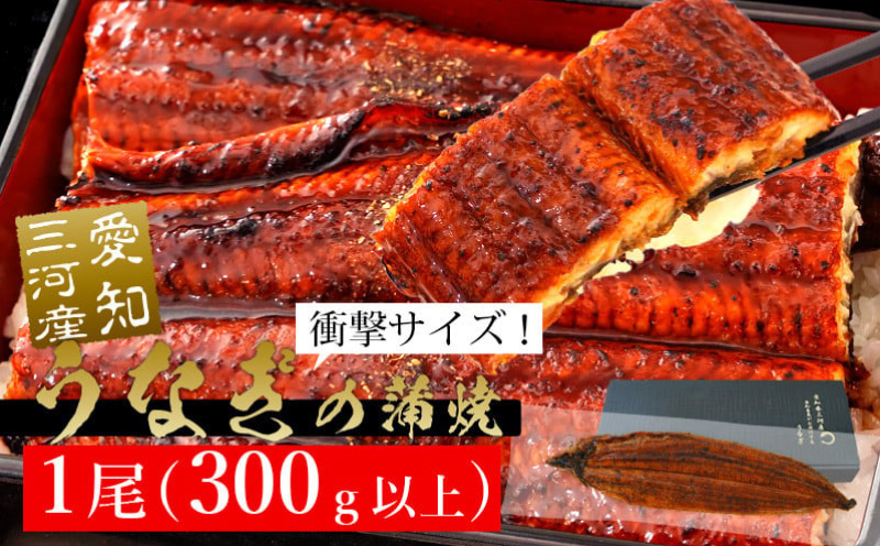 規格外サイズ！とても大きな三河産うなぎ「蒲焼き冷凍×1尾（300g以上）」蒲焼 ウナギ 国産うなぎ 鰻 蒲焼 愛知県 西尾市 愛知養魚 本格うなぎ 丑の日 土用の丑の日・A135-14