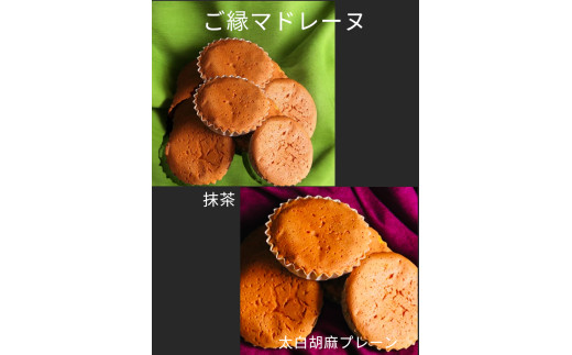 デ・レーヴジュニオールのアカシアご縁マドレーヌ×玉露抹茶マドレーヌ10個入り・D013-13