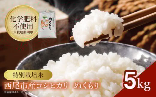 【令和7年産】特別栽培米西尾産コシヒカリ《ぬくもり》【5kg/袋×1袋】・D024-18