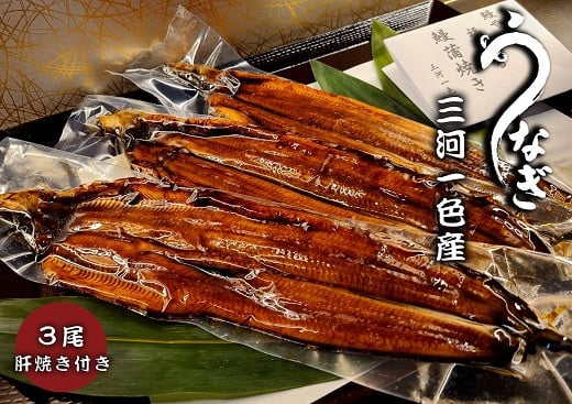 三河一色うなぎ　蒲焼3尾（合計480g以上）鰻肝付き・F011-24