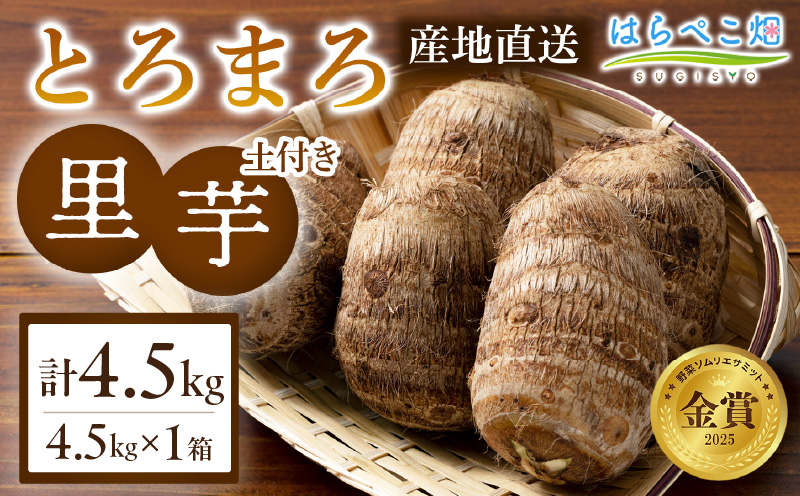 【粘りと甘みが段違い】里芋『とろまろ』土付き・4.5kg 1箱・H059