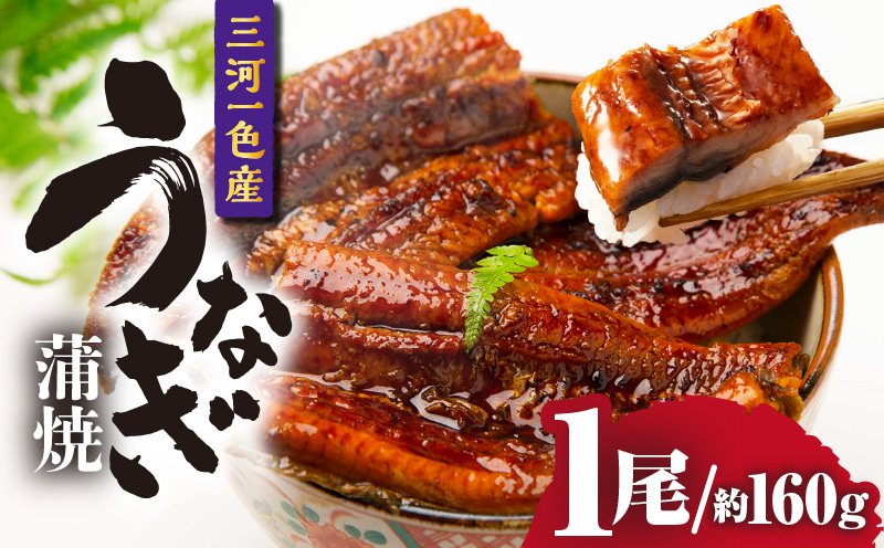 三河一色産うなぎ蒲焼 1尾（約160g）・O065