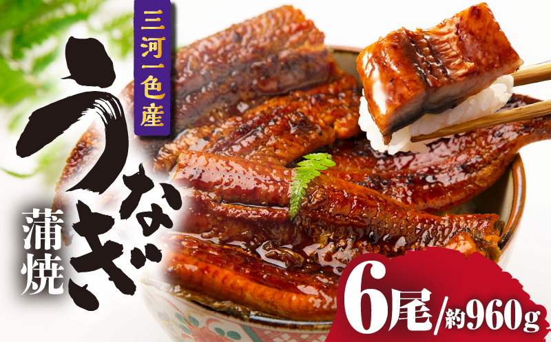 三河一色産うなぎ蒲焼 6尾（約960g）・O070