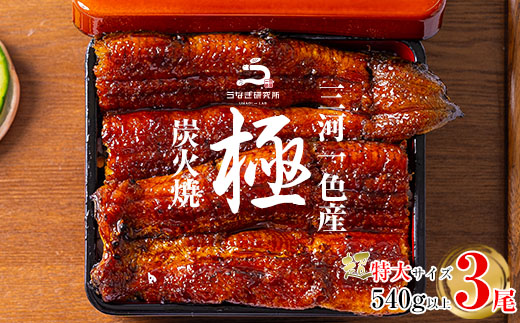 三河一色産うなぎ蒲焼超特大3尾(計540g以上)・R047
