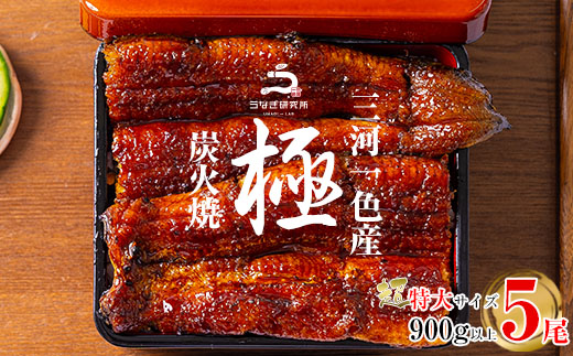 三河一色産うなぎ蒲焼超特大5尾(計900g以上)・R049