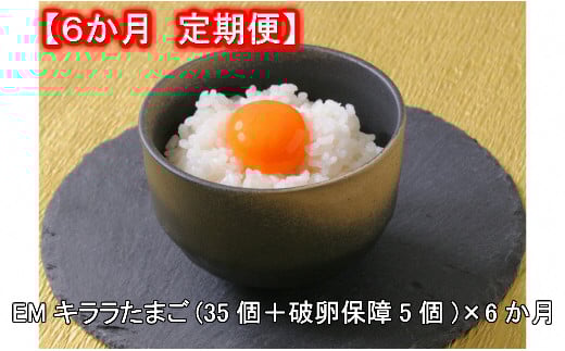 S018-66.杉山ポートリー「EMキララたまご」【6か月定期便】