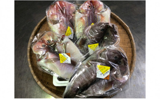 元漁師が作る高級魚干物セット・T018-22