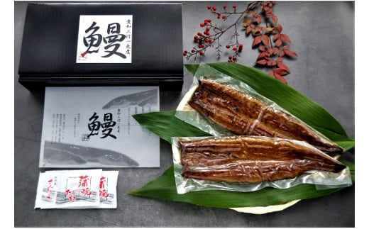 一色産うなぎ　蒲焼　２尾　無頭　国産　T052-17
