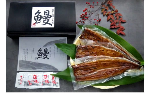 一色産　うなぎ蒲焼３尾　無頭　国産　T053-24