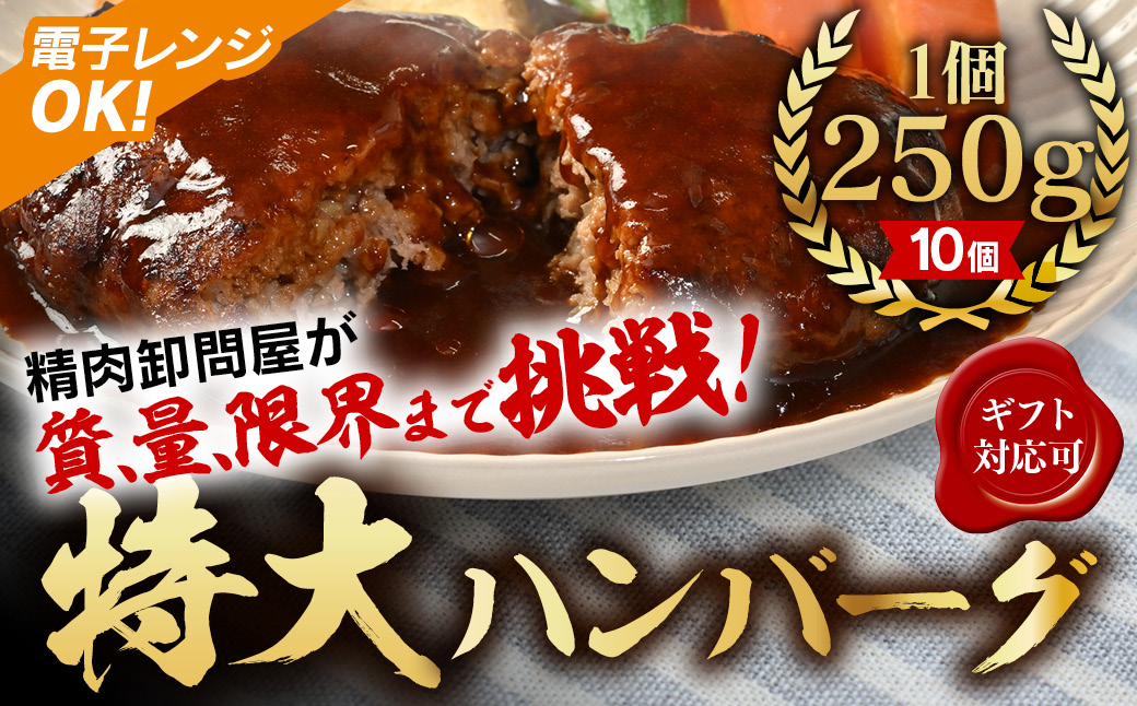 【250ｇ×10個】精肉卸問屋が自信をもってお届けする特大ハンバーグ（デミグラスソース） 冷凍 電子レンジOK 調理済・T098