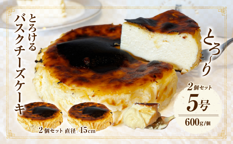 究極のとろけるバスクチーズケーキ　2点セット・T113