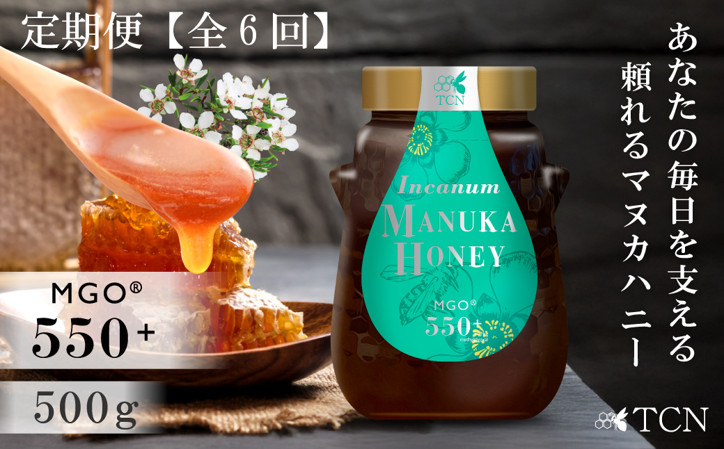 【定期便全６回】マヌカハニー MGO550+ 500g インカナムマヌカハニー・T143