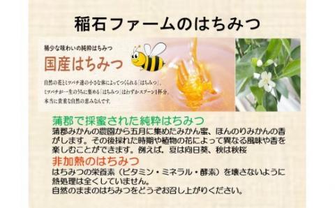 【数量限定】蒲郡みかんの蜂蜜_【G0147】