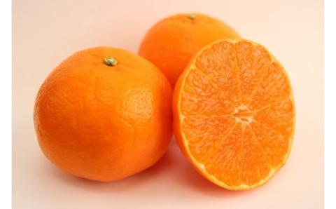 【期間限定】蒲郡みかん詰め合わせ 約２kg_【G0357】