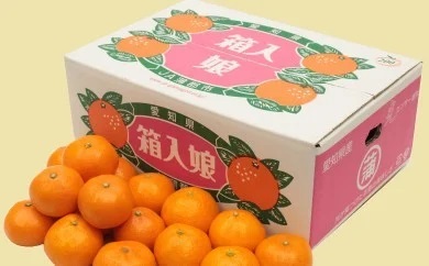 【期間限定】蒲郡みかん「箱入娘」約５kg_【G0002】