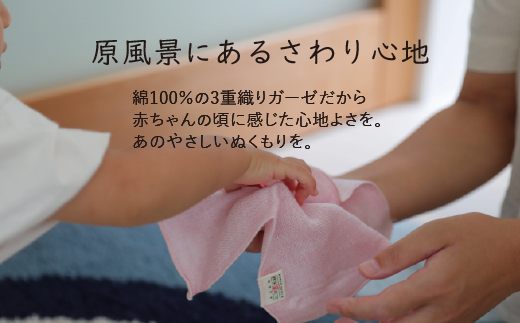 三河木綿 3重織り ガーゼハンカチ 10枚セット_【G0309】