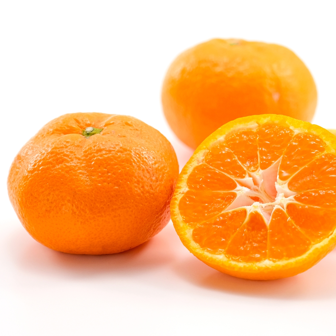 【期間限定】蒲郡みかん「青島みかん」約5kg_【G0330】