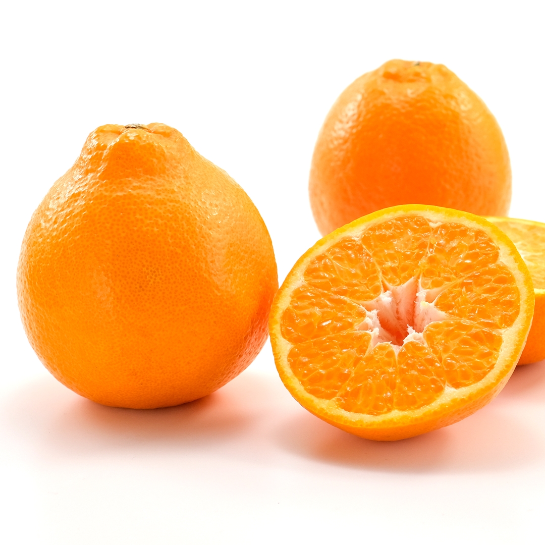 【期間限定】蒲郡みかん「ハウスはるみ」約3kg_【G0331】