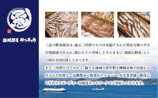 【愛知県三河産】ボイルワタリガニ 小　6杯_【G0653】