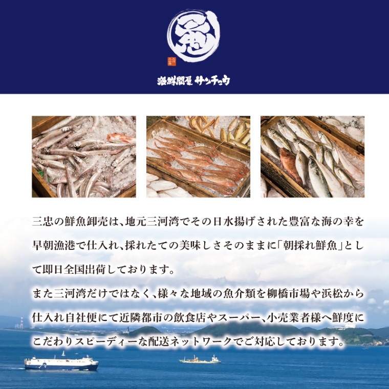 【愛知県三河産】ボイル天然トリ貝　小（9枚入×3パック）_【G0656】