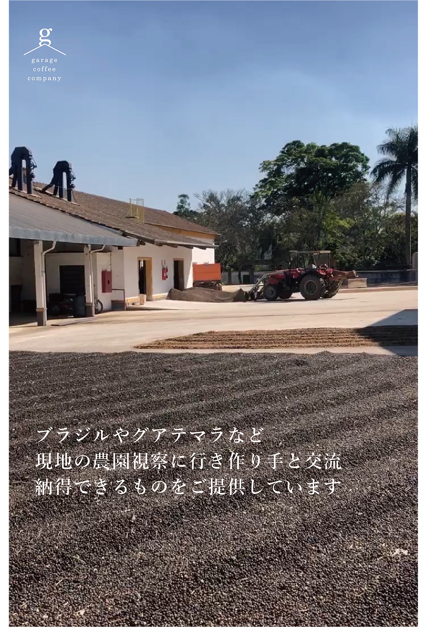 自家焙煎珈琲豆セット(200g×3袋）_豆【G0658】