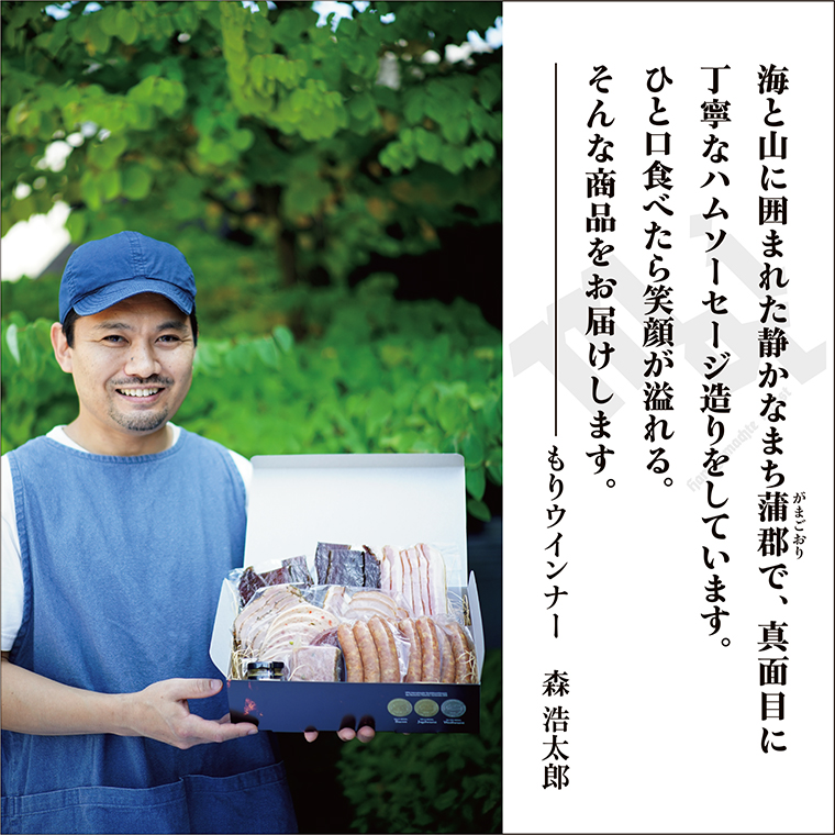 もりウインナー　ハム・ソーセージ詰め合わせ　ビーフジャーキー入り 8点セット_【G0686】