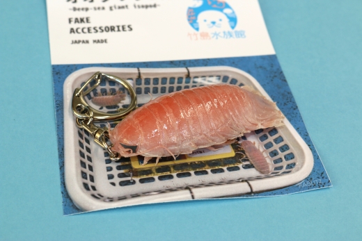 竹島水族館 オオグソクムシのリアルキーホルダー_【G0727】