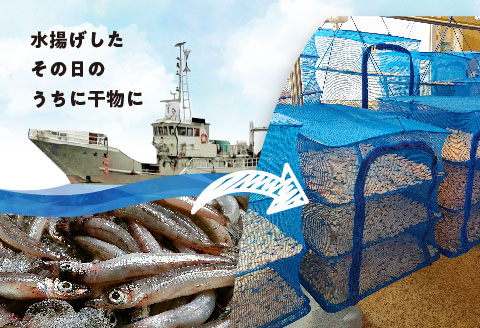 形原漁港直送　深海からの贈り物　深海ギョのふりかけ　三種セット_【G0483】