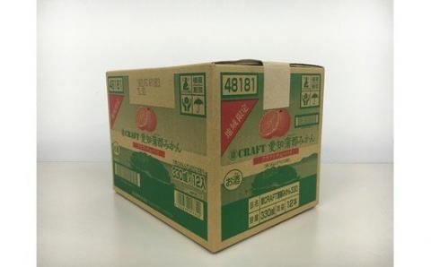 蒲郡みかんクラフトチューハイ　１２本セット_【G0092】